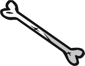 Bone PNG-46852